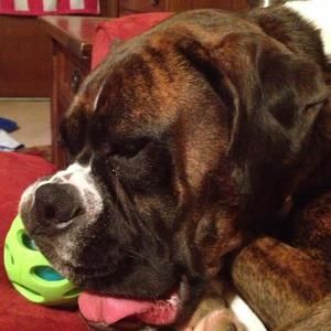 Meet your Posher, Anne